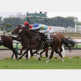 昨年のこのレースを首差勝ち
