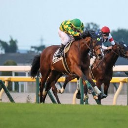 【東京本紙・外山の土曜福島９Ｒ】