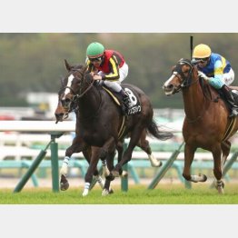 2勝クラスは1戦で突破した