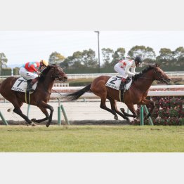 １勝クラス勝ちも好内容