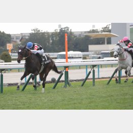 ２勝クラス勝ちは芝だったが…