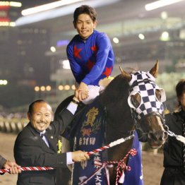 ２００８＆２０１０年帝王賞制覇　フリオーソ