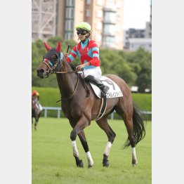昨夏の小倉で1勝クラスをV