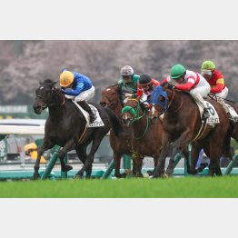 2走前は千八百㍍戦で勝利(左)