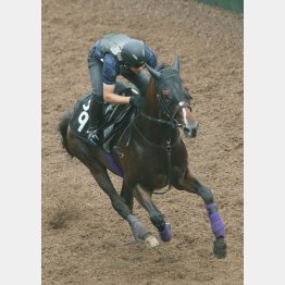 中間も活気に溢れる走りで好調アピール