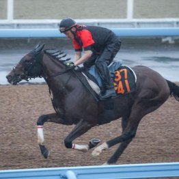 【飯島の日曜競馬コラム・ラジオＮＩＫＫＥＩ賞】