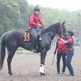 【大谷の日曜競馬コラム・ラジオＮＩＫＫＥＩ賞】