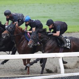 【武田の日曜競馬コラム・ラジオＮＩＫＫＥＩ賞】