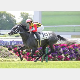 前走は着差以上の完勝