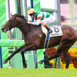 【東京本紙・外山の日曜福島９Ｒ】