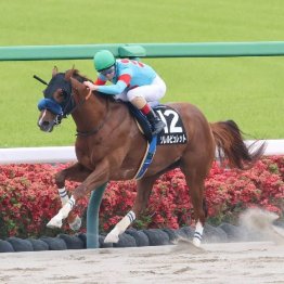 【東京本紙・外山の日曜福島10Ｒ】