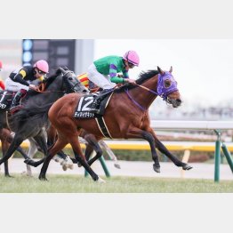 3勝クラスは1戦で突破