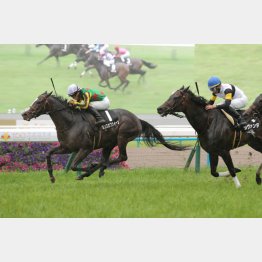前走は重賞③着ラヴァンダ(右)を撃破
