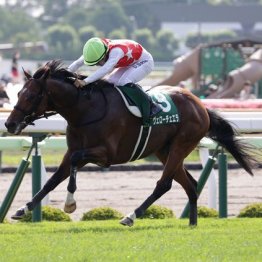 【函館記念】ヴェローチェエラがサッカーボーイのレコードを更新してＶ