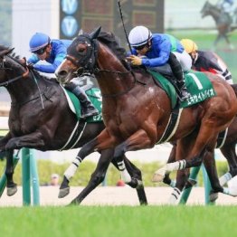 【ラジオＮＩＫＫＥＩ賞】エキサイトバイオが鮮やかに重賞初制覇