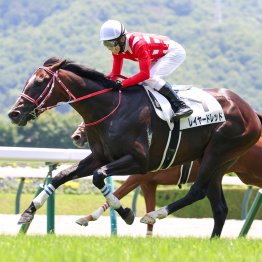 Ａコースの函館記念で強かったスピード型の血。今夏の福島ではフィエールマン産駒が猛威を振るう！？