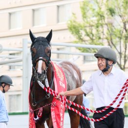 Ａコースの函館記念で強かったスピード型の血。今夏の福島ではフィエールマン産駒が猛威を振るう！？