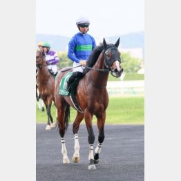 ①着エキサイトバイオ(荻野極騎手)「追い切りからコンタクトを取っていた馬だし、勝ててうれしいです」