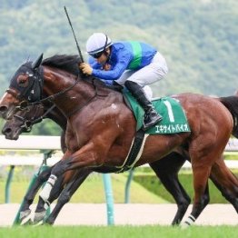 【ラジオＮＩＫＫＥＩ賞】エキサイトバイオ急成長で重賞奪取