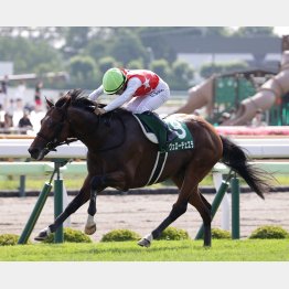 ①着ヴェローチェエラ（佐々木騎手）「力を抜いて走ってくれたので、手応えも十分。自信を持って乗れました」