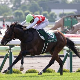 【函館記念】レース後の談話
