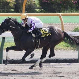 【大沼Ｓ・ジュライＳ】日曜はダートのオープン特別も２鞍