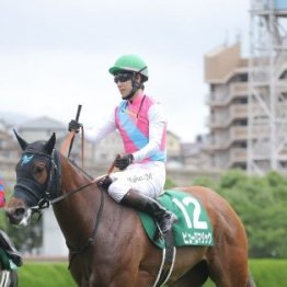 【北九州記念】勢いのある３歳勢と歴戦の古馬が激突