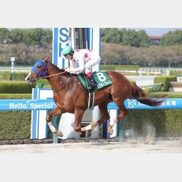 アンタレスSは2馬身半差の完勝