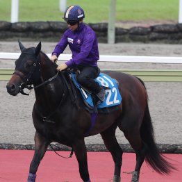 【北九州記念】ロードフォアエース今度は決める