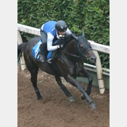 今週は坂路で１Ｆ11秒７