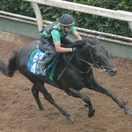 【北九州記念】前走勝ちの穴３銃士！ アブキールベイ、オタルエバー、カリボールのもう一丁がある！？