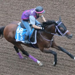 【北九州記念】前走勝ちの穴３銃士！ アブキールベイ、オタルエバー、カリボールのもう一丁がある！？