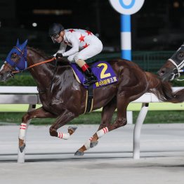 【帝王賞】１番人気ミッキーファイト勝利でルメールは夏休み前のひと稼ぎ