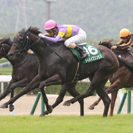 【北九州記念】データ作戦　穴党は６歳勢を狙え