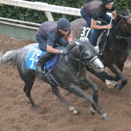 【北九州記念】ヤマニンアルリフラ一気に重賞取り