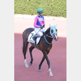 3勝目を狙う