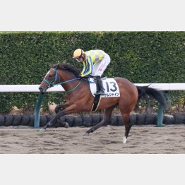 ここも強く勝つ