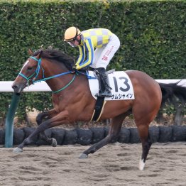 【新谷の土曜競馬コラム・竜飛崎特別】