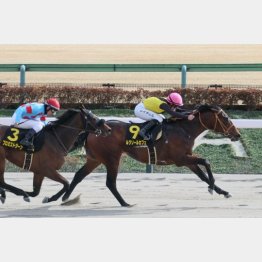 ヒヤシンスSは強敵相手に連対