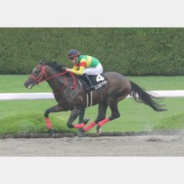 安芸特別を圧勝
