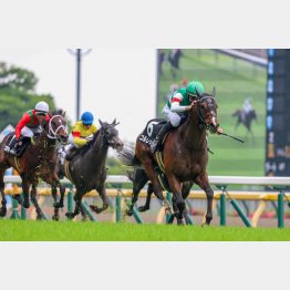 調布特別を強い競馬で勝利