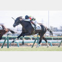 前々走で初勝利