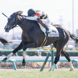 【東京本紙・外山の土曜福島９Ｒ】