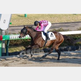 2勝クラスも簡単に突破