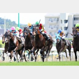 昨年のこのレースでは現オープン馬の②着がある