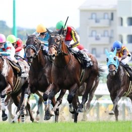 【飯島の日曜競馬コラム・白河特別】