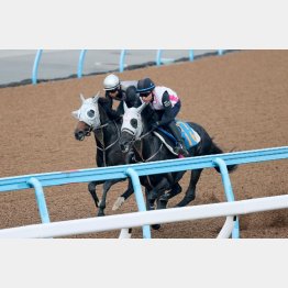 今週も併せ馬の内で大野が感触を確かめた