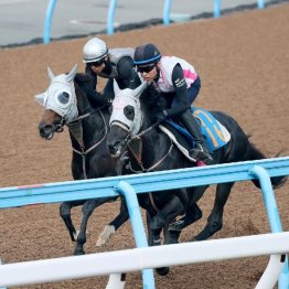 【新居の日曜競馬コラム・ジュライＳ】