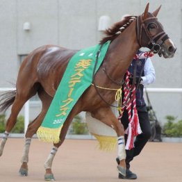 【大谷の日曜競馬コラム・北九州記念】