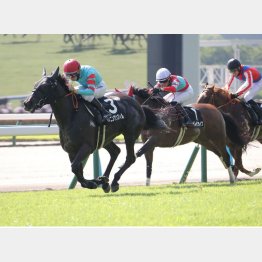 連闘で挑む馬を狙い撃つ